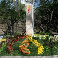 Blüten im Farbverlauf bei moderner Grabgestaltung